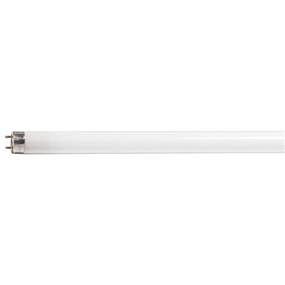 LAMP FLC LINEAL OCTRON T8 G13 17W 65K PHILIPS