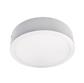LUM DOWNLIGHT SMART SOB LED 18W 127V RGBW 1250LM 8PG BCO DRU