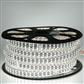LAMP LED MANGUERA 127V EXT 5050 SMD LUZ D/DIA TECNOLITE