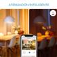 LAMP LED A19 E26/27 6W 120V 20K DIM VINTAGE WIFI WIZ